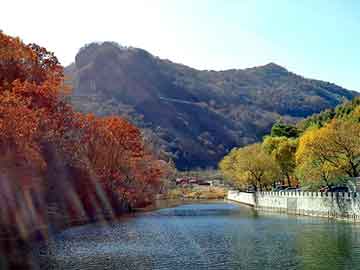 新澳天天开奖资料大全旅游团，求购龙须菜